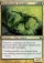 Magic Card Image
