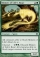 Shinen of Life's Roar Magic Card Image