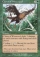 Magic Card Image