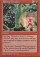 Magic Card Image