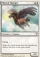 Magic Card Image
