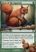 Magic Card Image