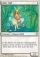 Magic Card Image