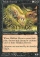 Magic Card Image