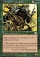 Magic Card Image