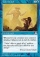 Teferi's Veil Magic Card Image