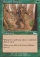 Magic Card Image