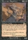 Magic Card Image