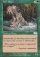 Magic Card Image
