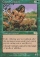 Magic Card Image