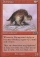 Magic Card Image