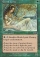 Elvish Lyrist Magic Card Image