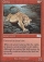 Magic Card Image