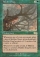 Magic Card Image