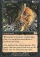 Magic Card Image