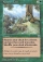 Magic Card Image