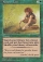 Magic Card Image