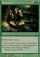 Magic Card Image