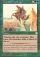 Magic Card Image