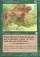 Trained Cheetah Magic Card Image