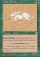 Zodiac Rabbit Magic Card Image