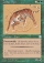 Zodiac Tiger Magic Card Image