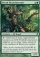 Elvish Branchbender Magic Card Image