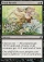 Final Revels Magic Card Image