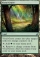 Magic Card Image