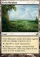 Vivid Meadow Magic Card Image