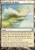 Magic Card Image