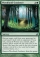 Woodland Guidance Magic Card Image