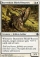 Burrenton Shield-Bearers Magic Card Image