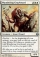 Wandering Graybeard Magic Card Image