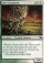 Magic Card Image