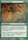 Raking Canopy Magic Card Image