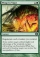 Magic Card Image