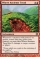 Magic Card Image