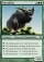 Magic Card Image