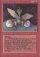 Magic Card Image