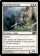 Guardian Seraph Magic Card Image
