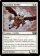 Magic Card Image
