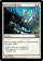 Magic Card Image
