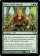 Voice of the Woods Magic Card Image