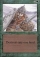 Magic Card Image