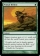 Magic Card Image