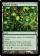 Khalni Garden Magic Card Image