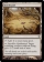 Quicksand Magic Card Image
