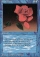 Magic Card Image