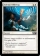 Magic Card Image